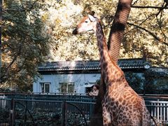 -杭州植物园