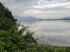 -福建鲤鱼洲酒店