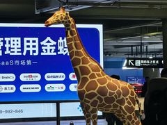 -虹桥综合交通枢纽-P6停车库