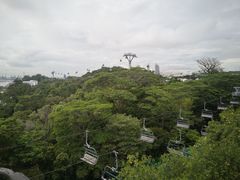 -圣淘沙天际线斜坡滑车