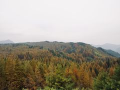 -山王坪喀斯特国家生态公园
