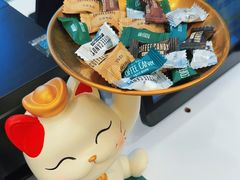 -LACOSTE(新中关购物中心店)