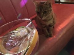 -VERVO金酒吧·独立电音俱乐部(正义坊购物中心店)