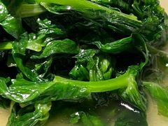 -老吉堂上海本帮菜(望京万象汇店)