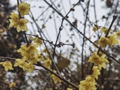 -月坛公园