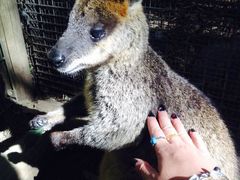 -费瑟代尔野生动物园