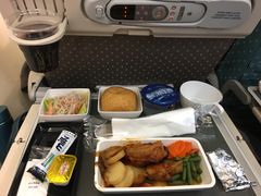 -新加坡航空公司(ION)