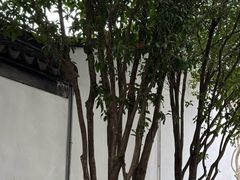 -南京市民俗博物馆(甘熙故居)