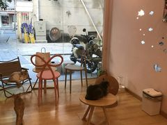 -猫咪派对(江南西店)