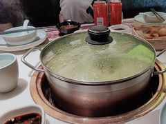 -洪氏嗨捞·猪肚鸡火锅(阳光天地店)