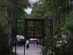 -瑞穗牧场