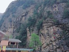 -青峰峡国家森林公园