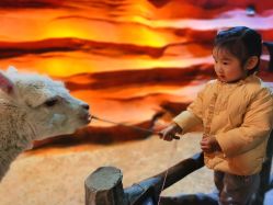 -酷嗒动物文化乐园(cutezoo西溪乐天城店)