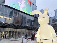 -合景·悠方(成都店)