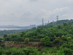 -张坝桂圆林公园