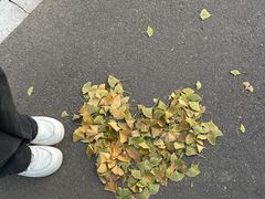 -石家庄市植物园