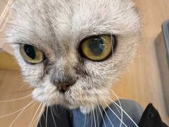 -宠福鑫动物医院(城北分院)