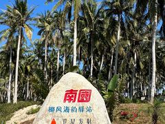 -东郊椰林