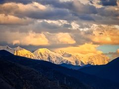 -小志家.野生菌鲜切牦牛肉牛杂火锅