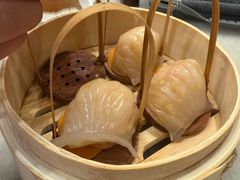 -金鼎轩(方庄天坛店)