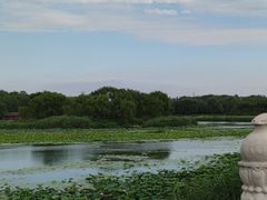 -南海子公园