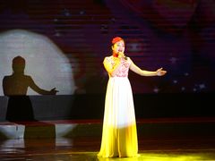 -陕北民歌大舞台