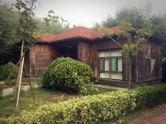 -金孔雀温泉旅游度假村