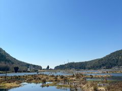 -腾冲北海湿地