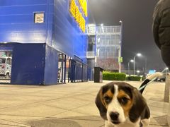 -心仪动物医院·牙专科·肿瘤·心脏科(西客站院)