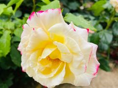 -莲池书院博物馆