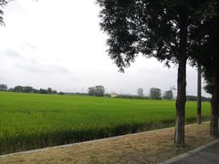 -嘉北郊野公园
