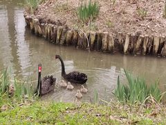 -西山漾湿地公园