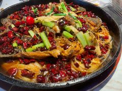 -老板恋上鱼(高新万达店)