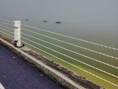 -贡湖湾湿地公园