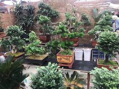 -秦美花卉(天朗·莱茵小城2期店)