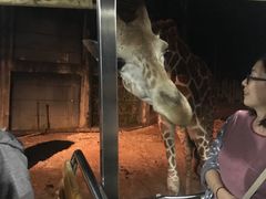 -清迈夜间动物园