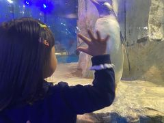 -台州海洋世界