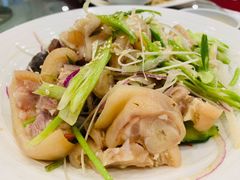 -姚林轩