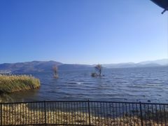 -阳光便利店(环海西路店)