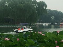 -小王府(什刹海店)