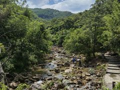 -广州白江湖森林公园