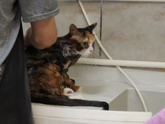 -沐沐家宠物(成寿寺店)