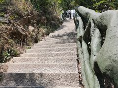 -梧桐山风景名胜区