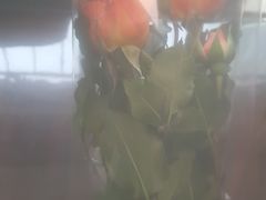 -FEI FEI FLOWER鲜花店·气球派对·宝宝宴布置(虹口德必运动Loft店)