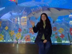 -烟台海昌鲸鲨海洋公园