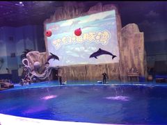 -华夏文旅海洋公园