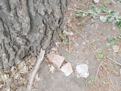 -吉林大学(前卫南区)