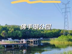 -佛手湖郊野公园