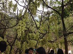 -牛鱼嘴原始生态风景区