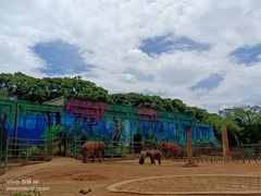 -昆明动物园